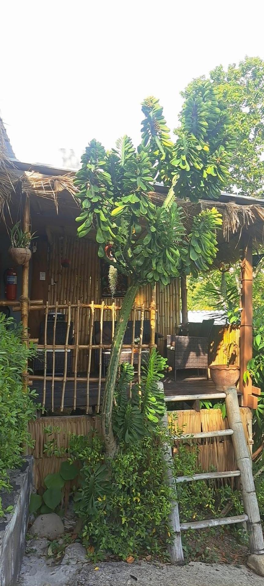 Siam Flora Resort Ko Lanta Pokoj fotografie